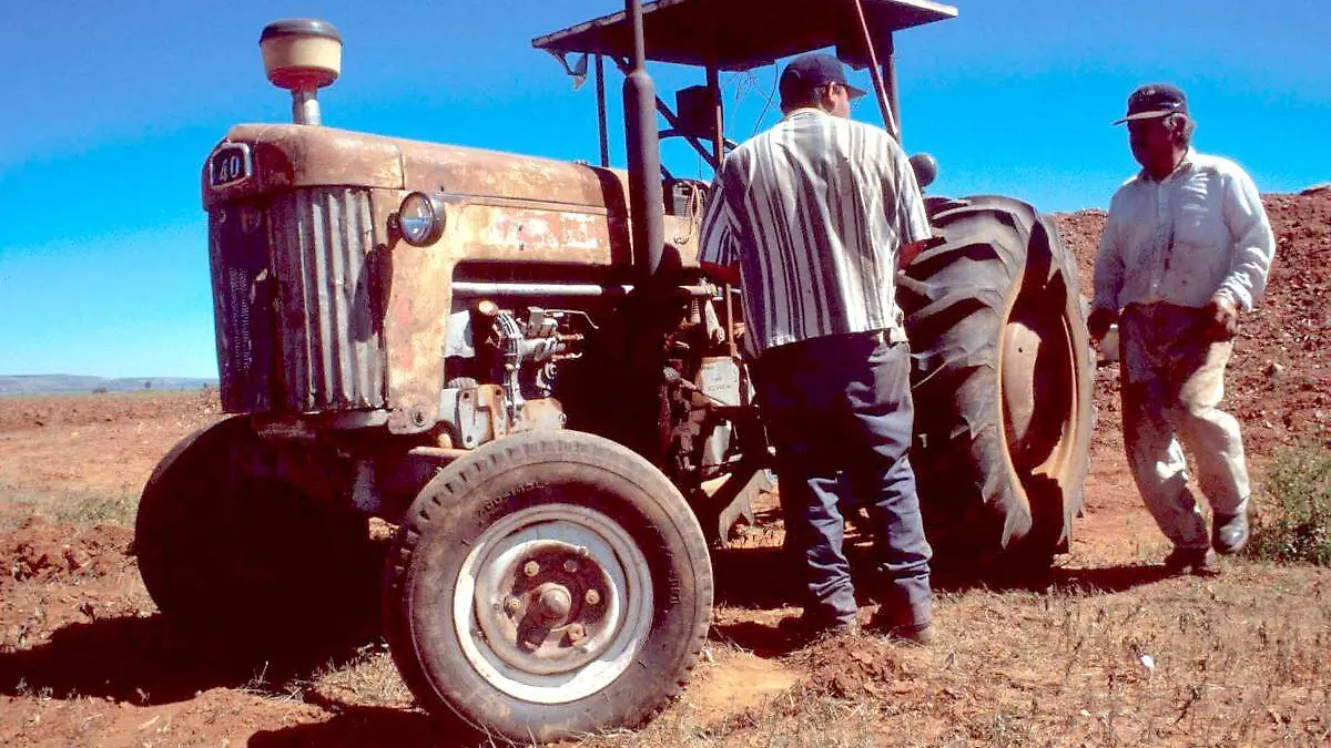 Labores del campo en Zacatecas